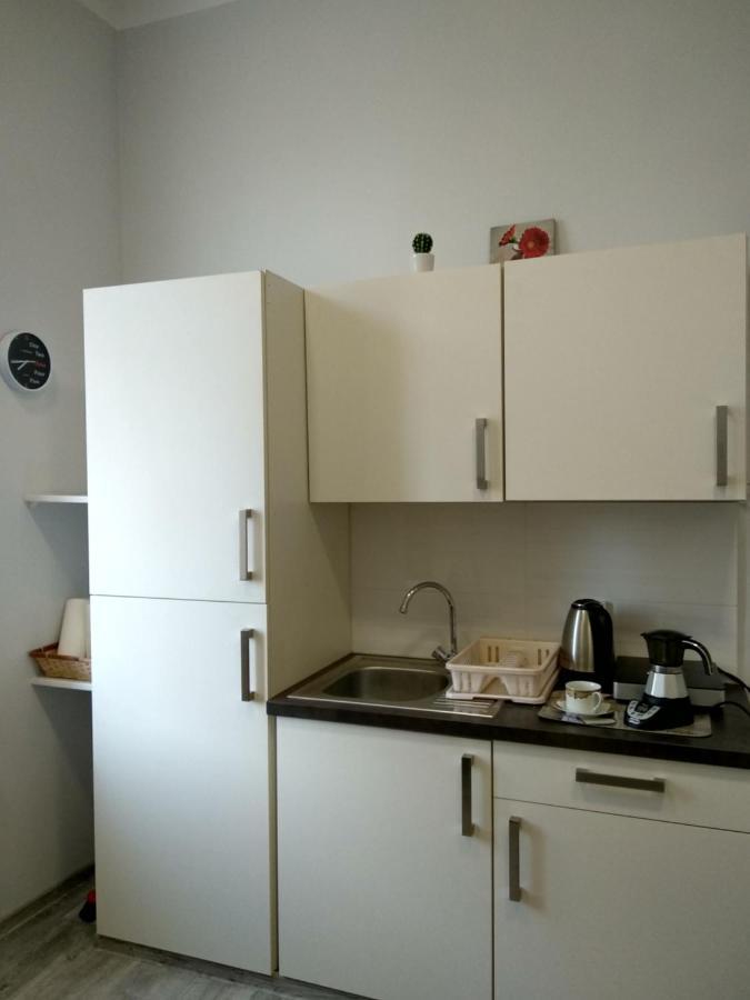Studio W Sercu Miasta Przemyśl Extérieur photo