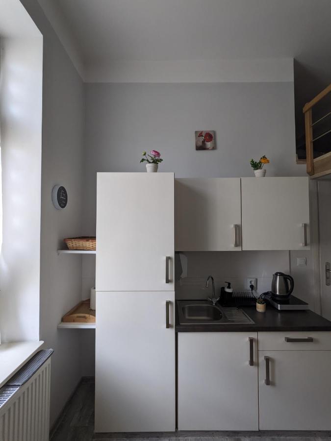 Studio W Sercu Miasta Przemyśl Extérieur photo
